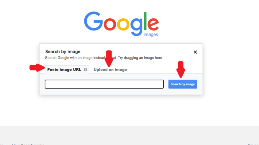 Google Image Search on Computers