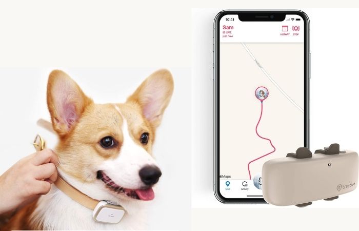GPS Trackers for Pets