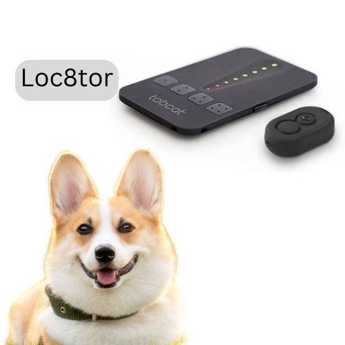 Loc8tor Pet Tracker