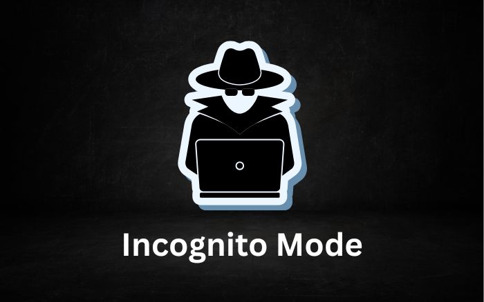 How to Check Incognito History